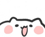 柚子酒 yuzushu