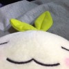 葉袖