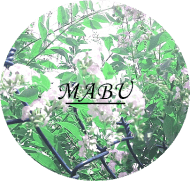 二三/MABU