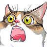 g:cdJI8rPdZHz4