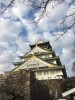 Shinatake
