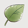 bawaka Li (葉若)