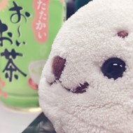 一隻
