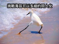 東