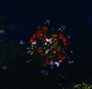 貓星駕駛艙
