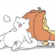 綺綺