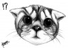 MiniBB