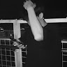TOP.G