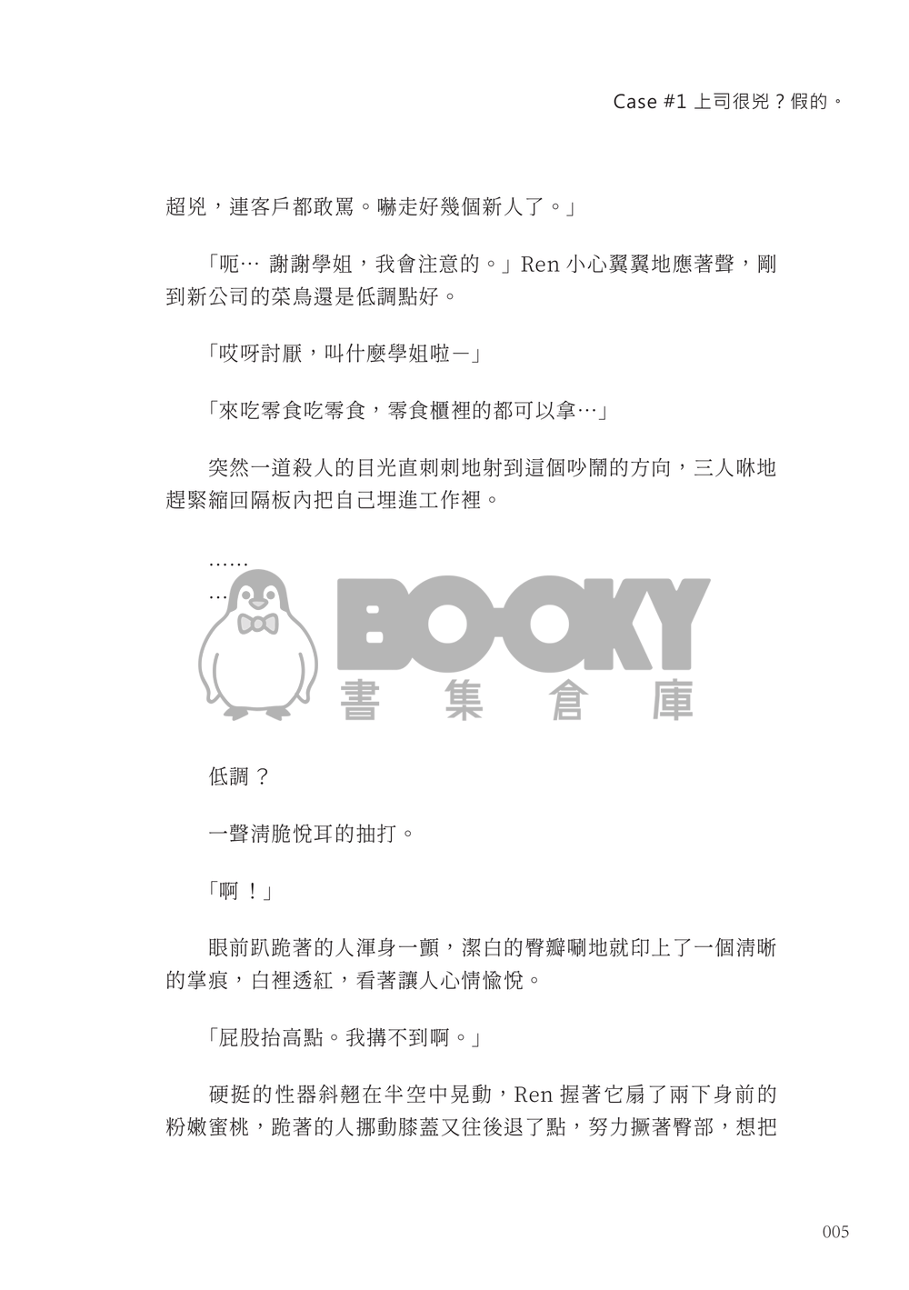 DS Electronics Inc. 試閱圖片